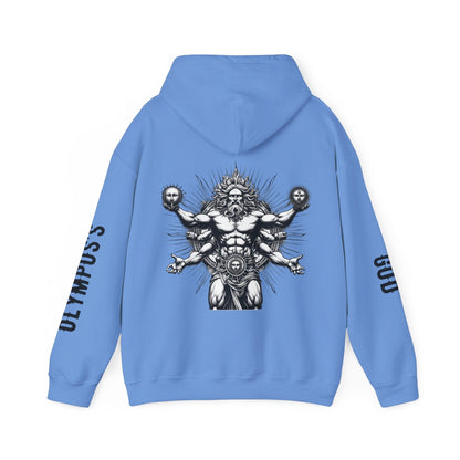 Unisex Hooded Sweatshirt - Olympus's God Apollo - Pardalês_Free Lifestyle