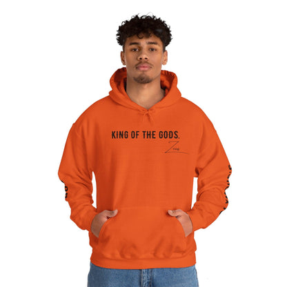 Unisex Hooded Sweatshirt - Olympus's God Zeus - Pardalês_Free Lifestyle