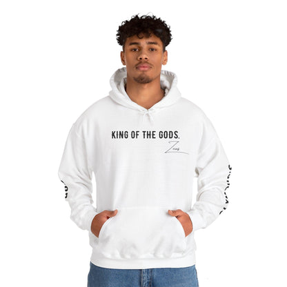 Unisex Hooded Sweatshirt - Olympus's God Zeus - Pardalês_Free Lifestyle