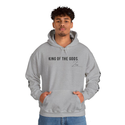 Unisex Hooded Sweatshirt - Olympus's God Zeus - Pardalês_Free Lifestyle