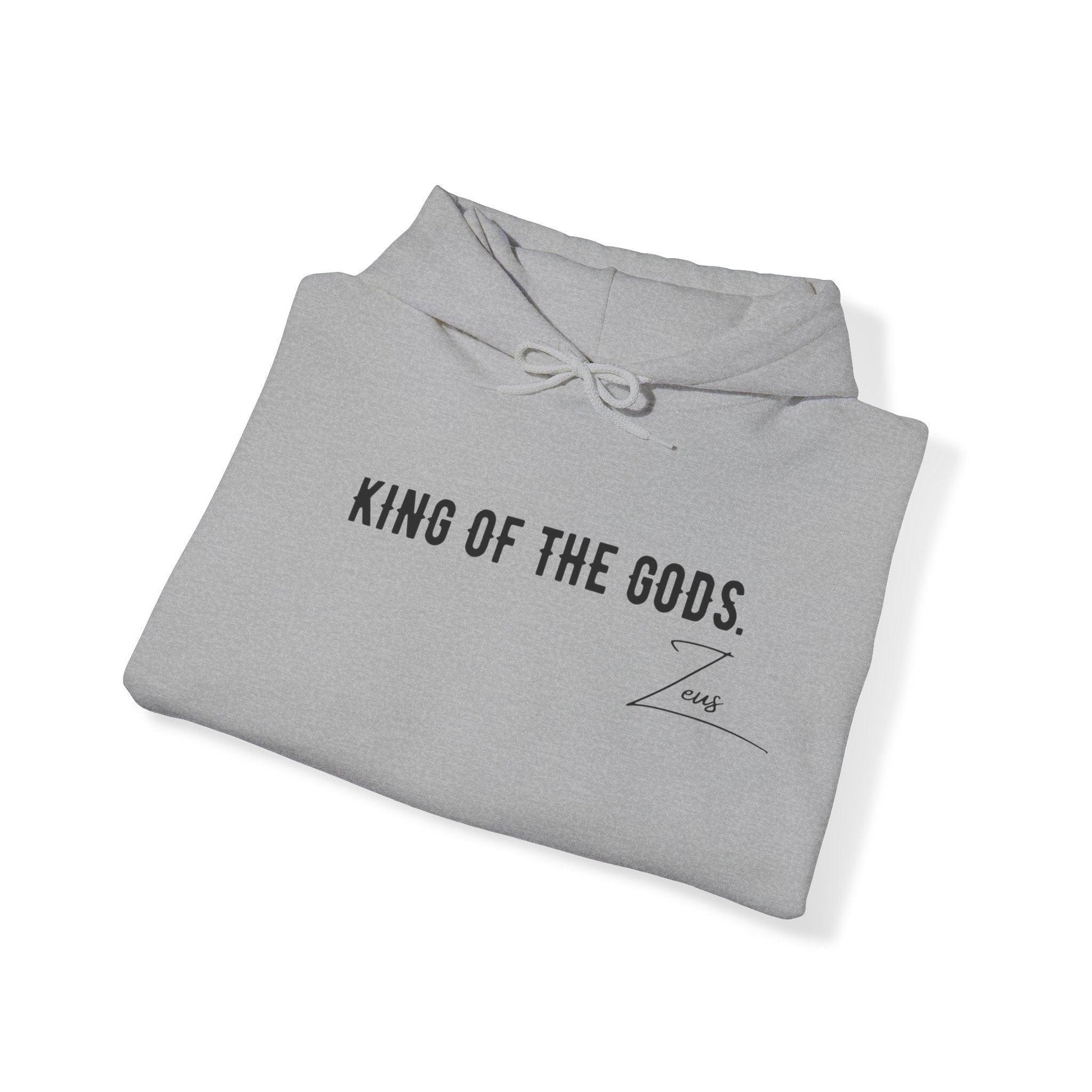 Unisex Hooded Sweatshirt - Olympus's God Zeus - Pardalês_Free Lifestyle