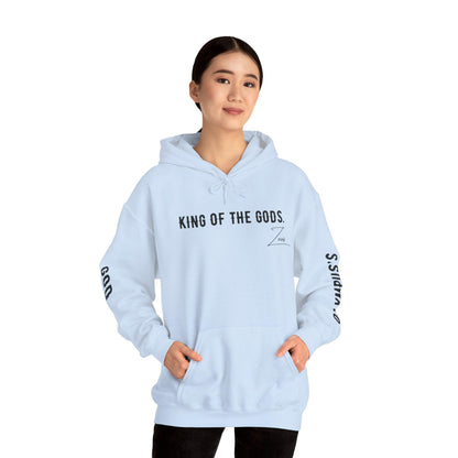 Unisex Hooded Sweatshirt - Olympus's God Zeus - Pardalês_Free Lifestyle