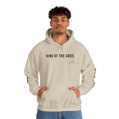 Unisex Hooded Sweatshirt - Olympus's God Zeus - Pardalês_Free Lifestyle