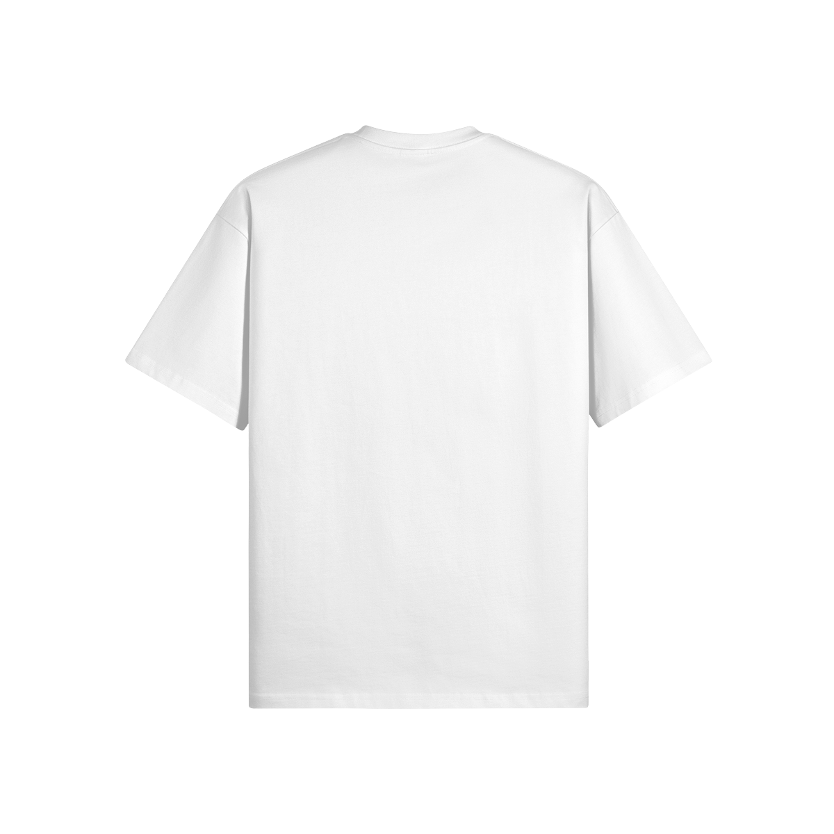 Oversize t-shirt Swallow