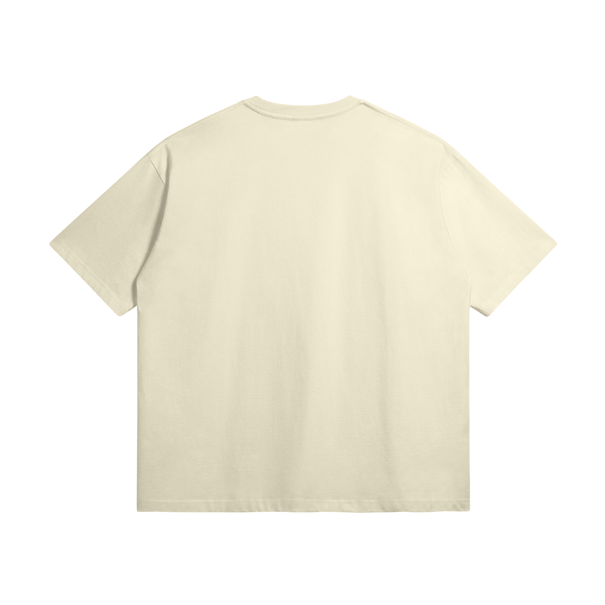 Oversize t-shirt Caracol